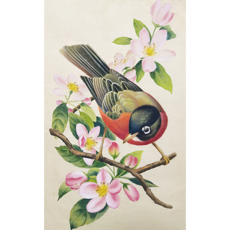 Michigan American Robin Hand-painted Art Print - Premium MATT Paper, Natural Wood Frame, Multiple Sizes & Colors, Wall & Tabletop Décor