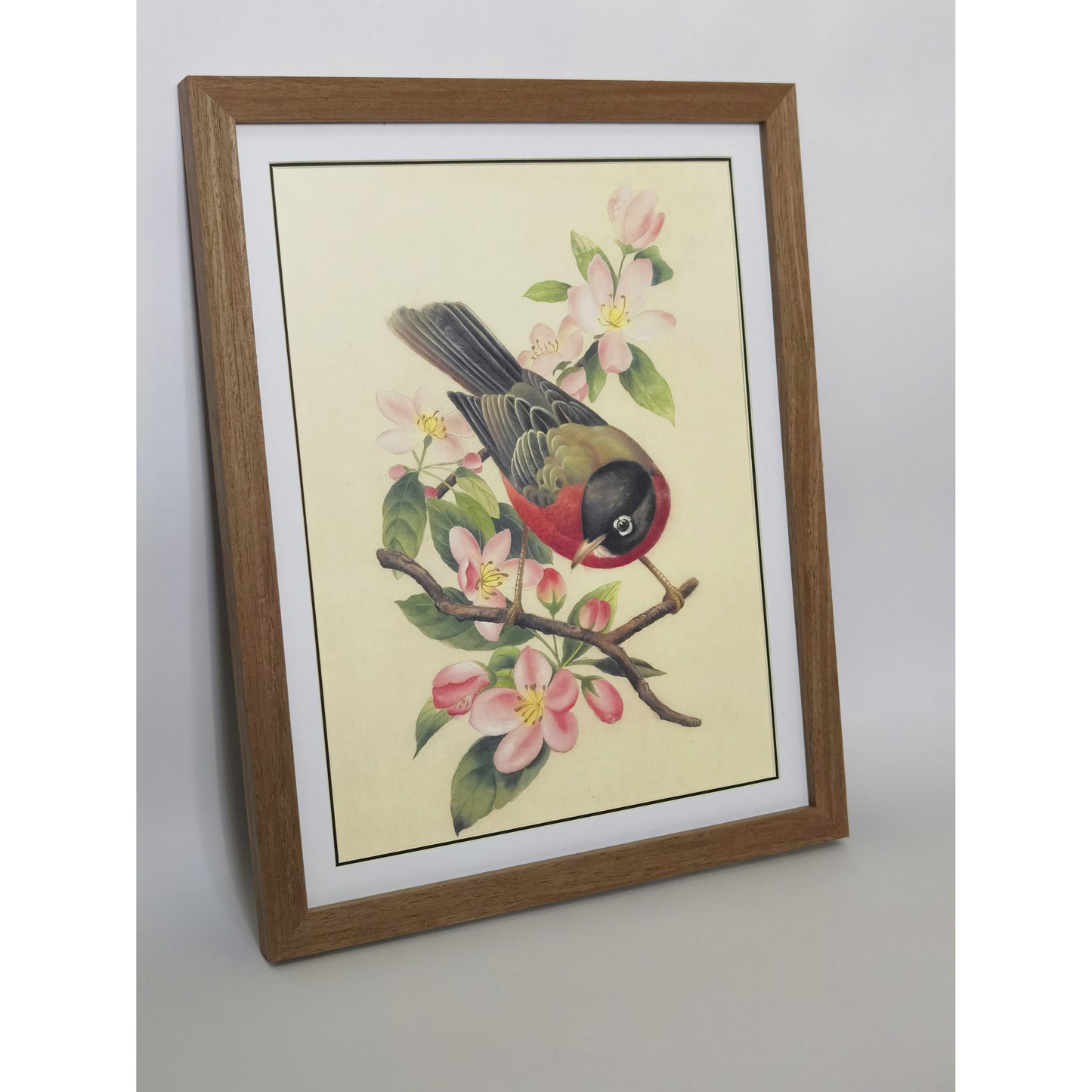 Michigan American Robin Hand-painted Art Print - Premium MATT Paper, Natural Wood Frame, Multiple Sizes & Colors, Wall & Tabletop Décor