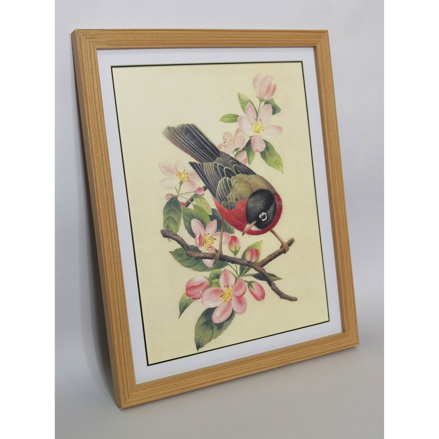 Michigan American Robin Hand-painted Art Print - Premium MATT Paper, Natural Wood Frame, Multiple Sizes & Colors, Wall & Tabletop Décor
