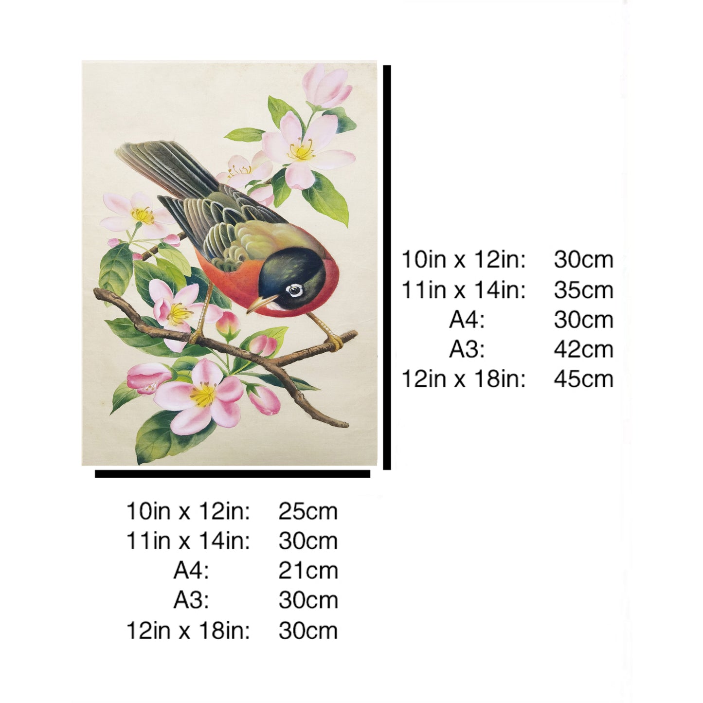 Michigan American Robin Hand-painted Art Print - Premium MATT Paper, Natural Wood Frame, Multiple Sizes & Colors, Wall & Tabletop Décor