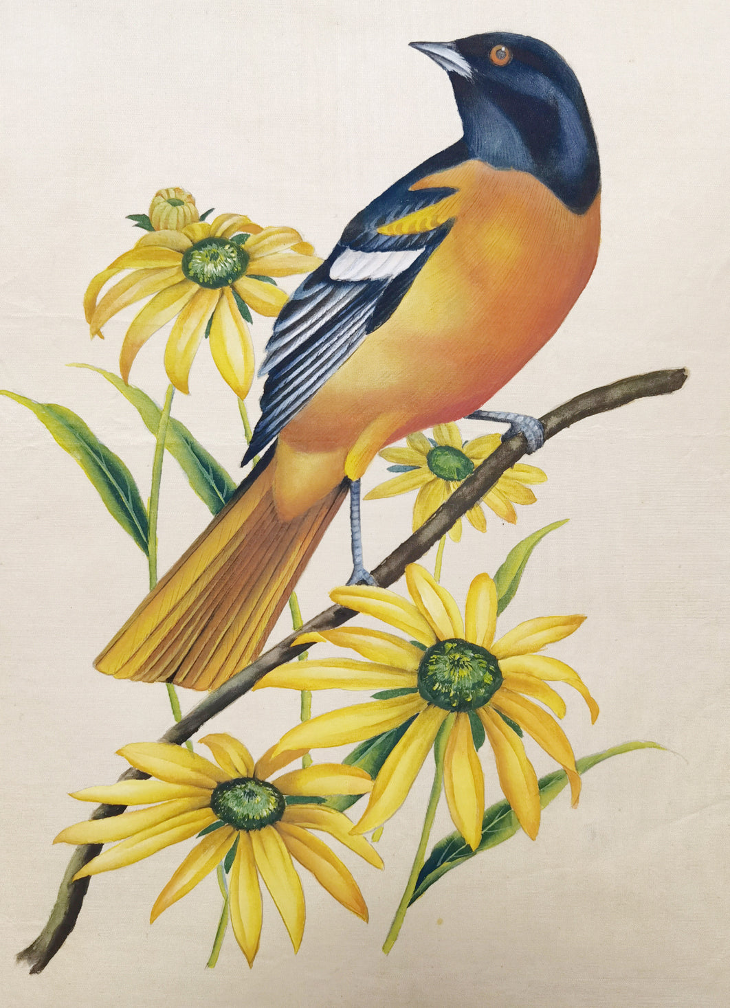 Baltimore Oriole State Bird Handmade Art Printing Maryland Black-eyed Susan Flower with Wood Frame