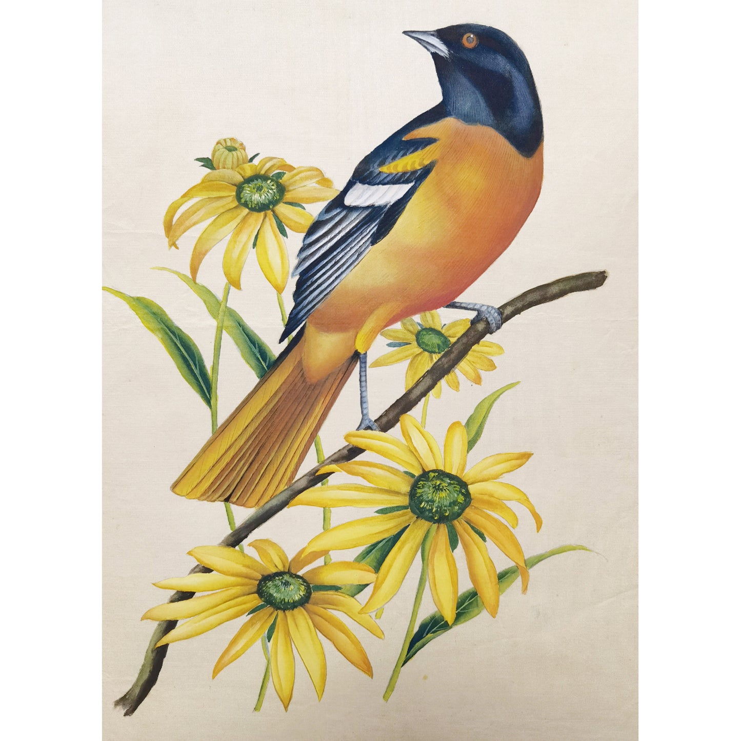 Maryland Baltimore Oriole Hand-painted Art Print - Premium MATT Paper, Natural Wood Frame, Multiple Sizes & Colors, Wall & Tabletop Décor