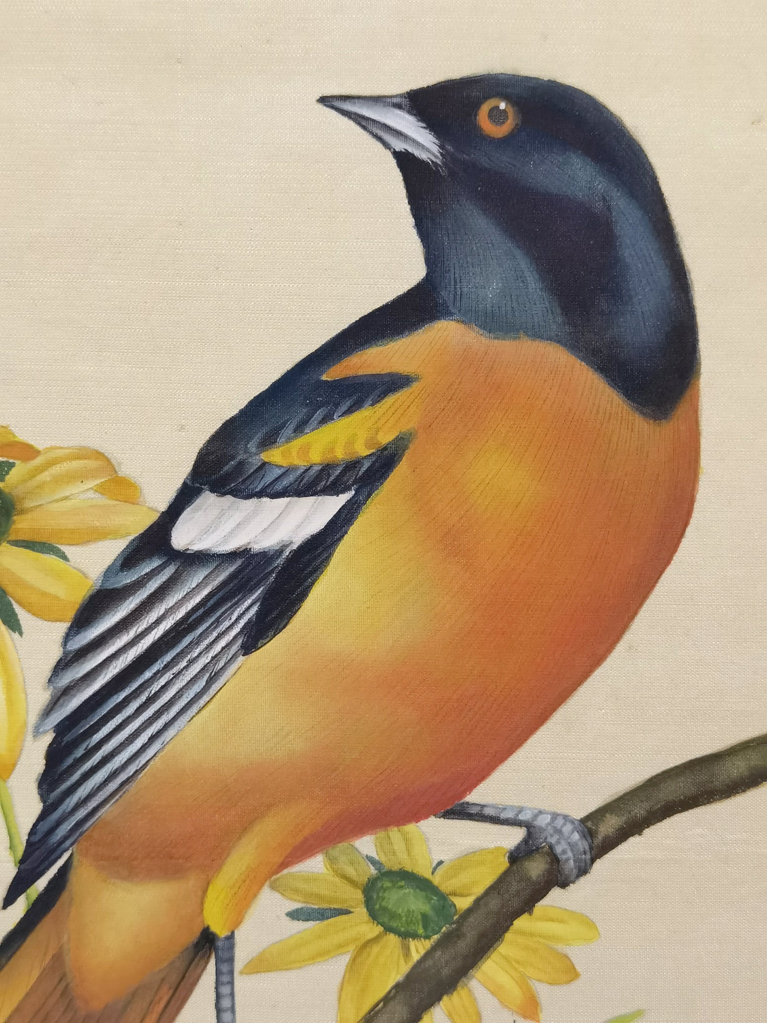 Baltimore Oriole State Bird Handmade Art Printing Maryland Black-eyed Susan Flower with Wood Frame