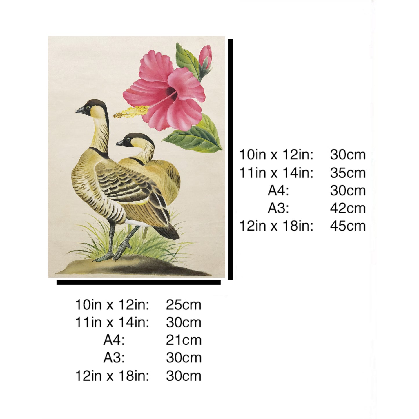 Hawaii Black-necked Stilt Hand-painted Art Print - Premium MATT Paper, Natural Wood Frame, Multiple Sizes & Colors, Wall & Tabletop Décor