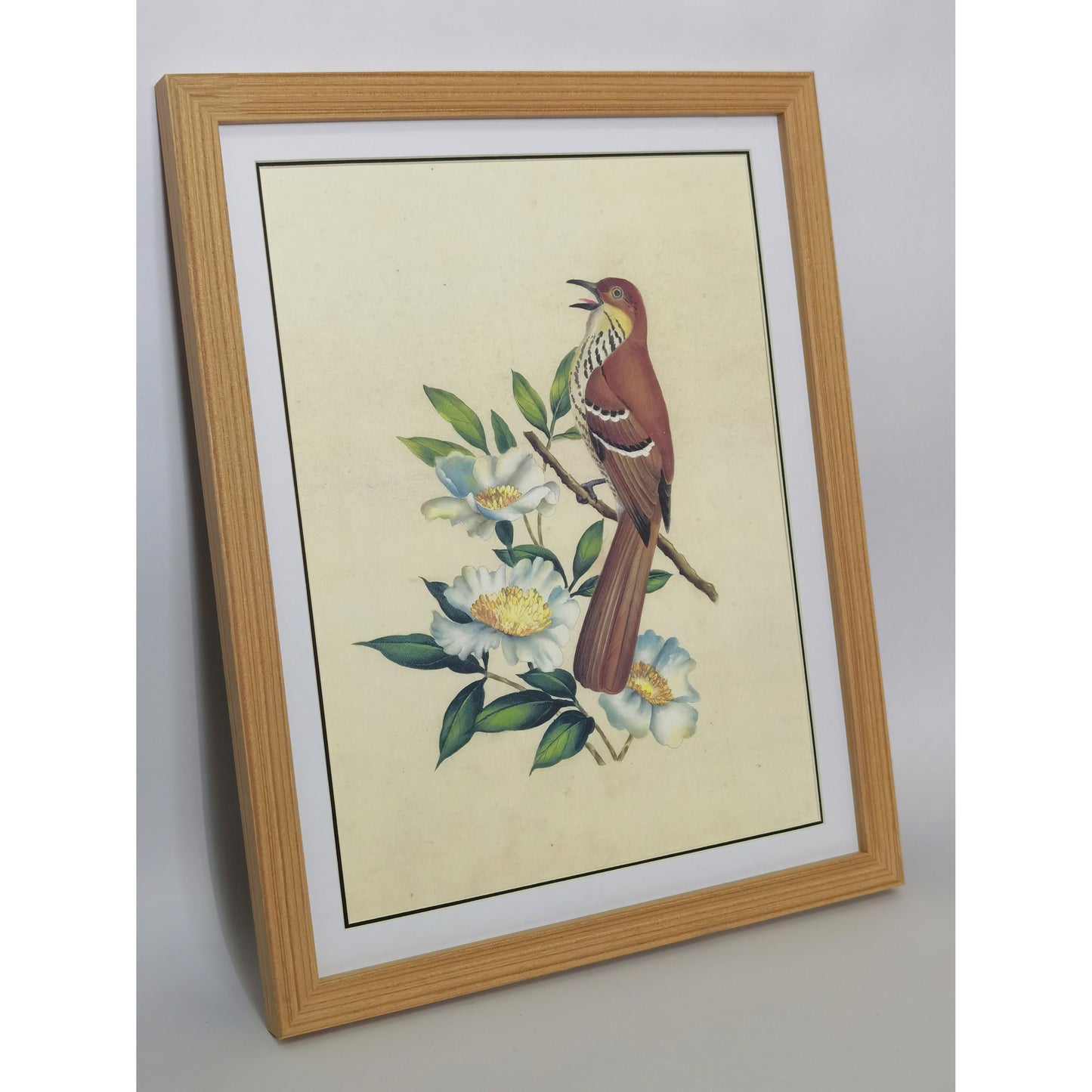 Georgia Brown Thrasher Hand-painted Art Print - Premium MATT Paper, Natural Wood Frame, Wall & Tabletop Décor, Multiple Sizes & Colors