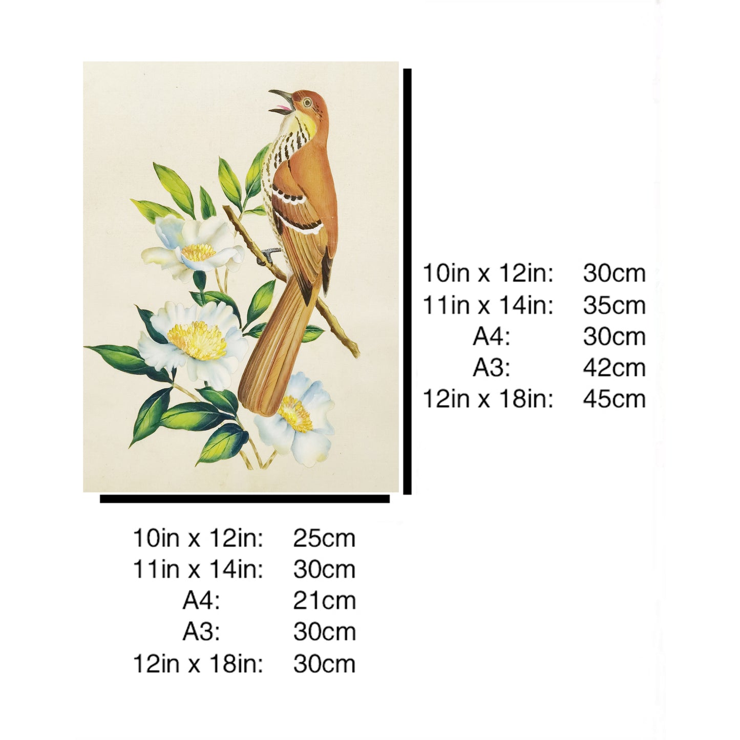 Georgia Brown Thrasher Hand-painted Art Print - Premium MATT Paper, Natural Wood Frame, Wall & Tabletop Décor, Multiple Sizes & Colors