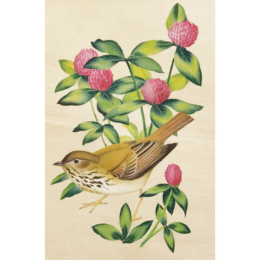 Vermont Hermit Thrush Hand-painted Art Print - Premium MATT Paper, Natural Wood Frame, Wall & Tabletop Décor, Multiple Sizes & Colors