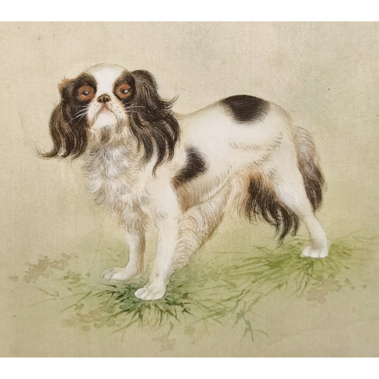 Hand-painted Pekingese Dog Art Print – Gongbi Technique, Premium MATT Paper, Natural Wood Frame, Multiple Sizes & Colors
