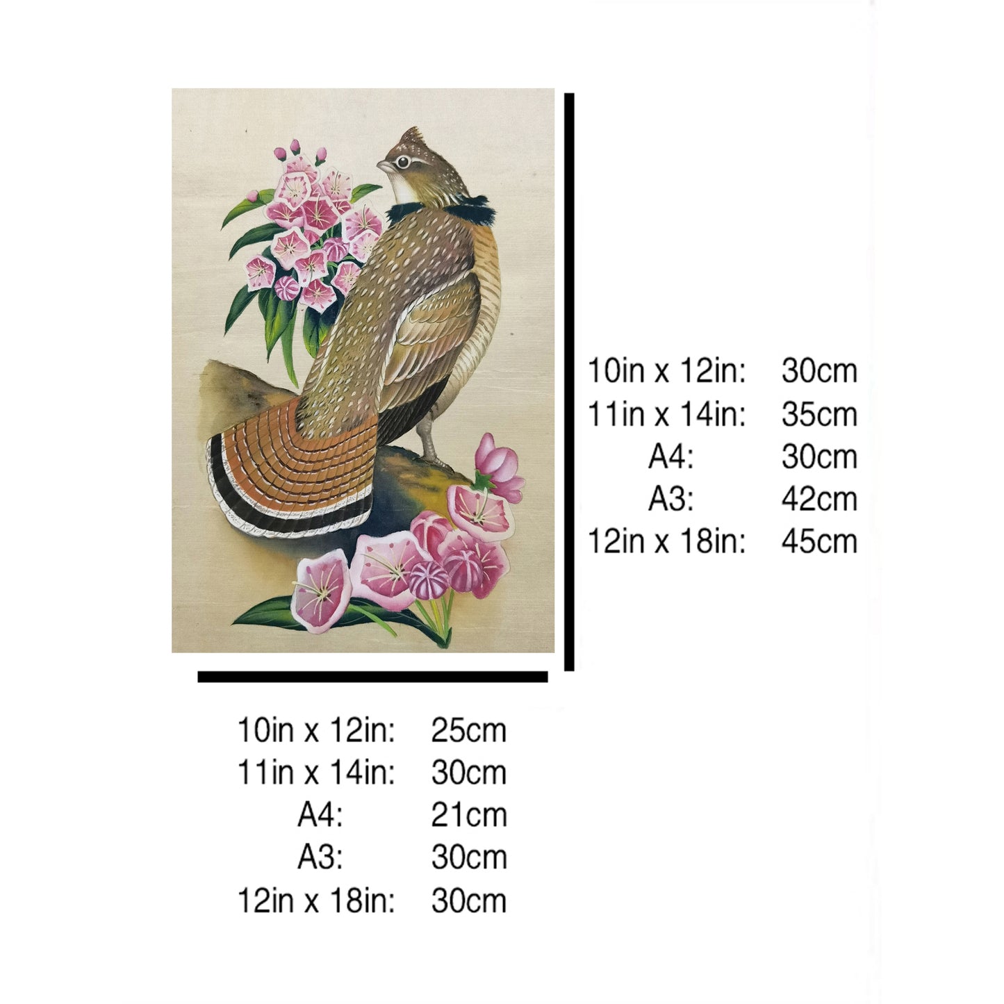 Pennsylvania Ruffed Grouse Hand-painted Art Print - Premium MATT Paper, Natural Wood Frame, Wall & Tabletop Décor, Multiple Sizes & Colors