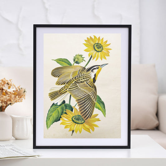 Western Meadowlark State Bird Handmade Art Printing Kansas Sunflower with Wood Frame