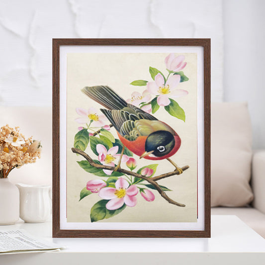 American Robin State Bird Handmade Art Printing Michigan Pyrus Coronaria with Wood Frame