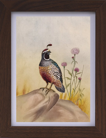Callipepla Californica State Bird Handmade Art Printing California Poppy with Wood Frame