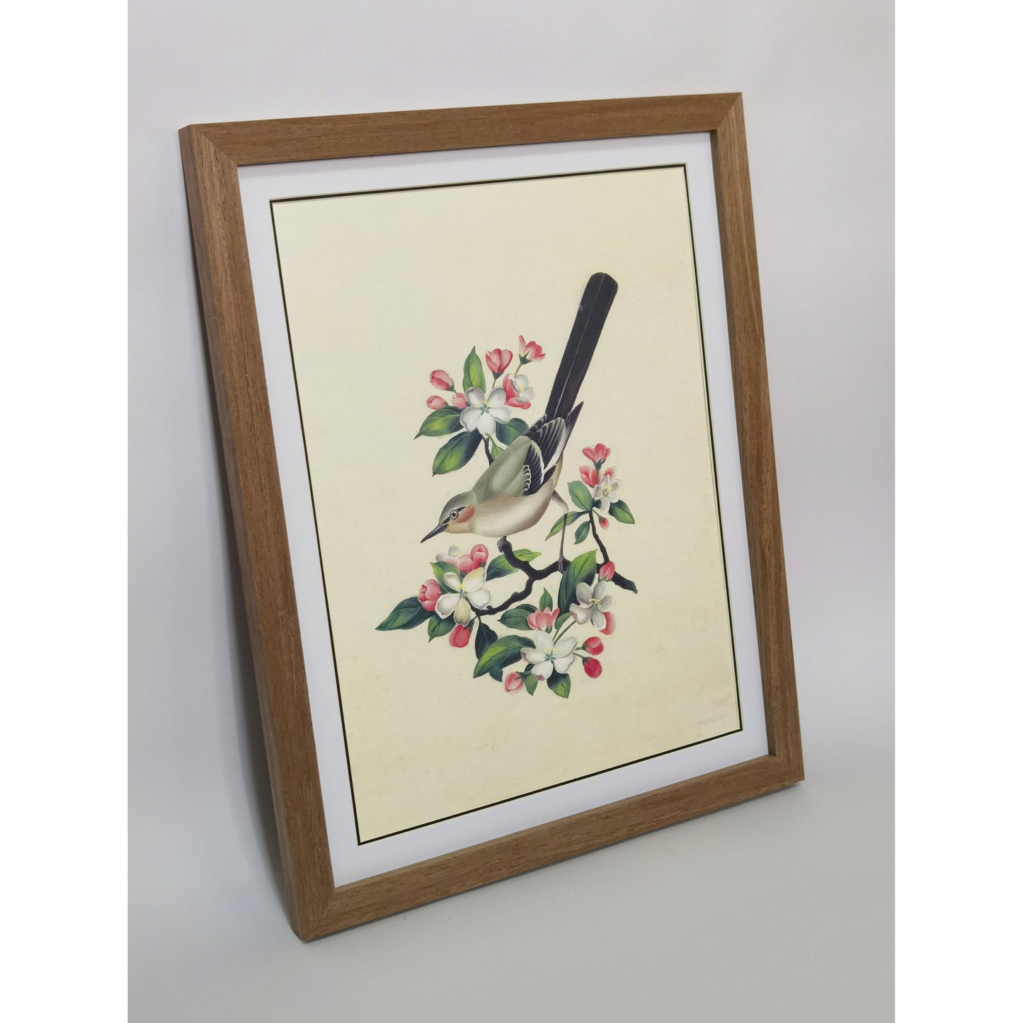 Arkansas Eastern Bluebird Hand-painted Art Print - Premium MATT Paper, Natural Wood Frame, Wall & Tabletop Décor, Multiple Sizes & Colors