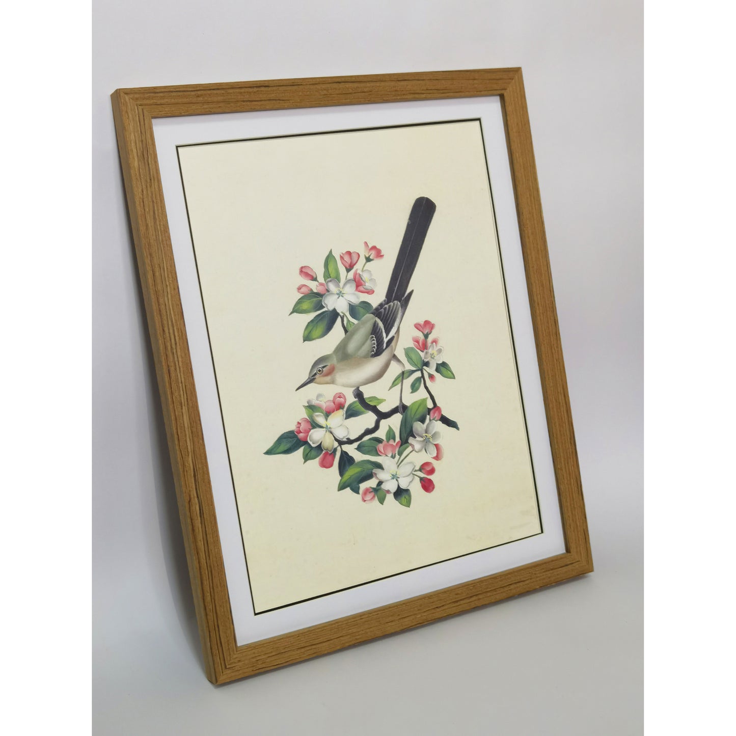 Arkansas Eastern Bluebird Hand-painted Art Print - Premium MATT Paper, Natural Wood Frame, Wall & Tabletop Décor, Multiple Sizes & Colors