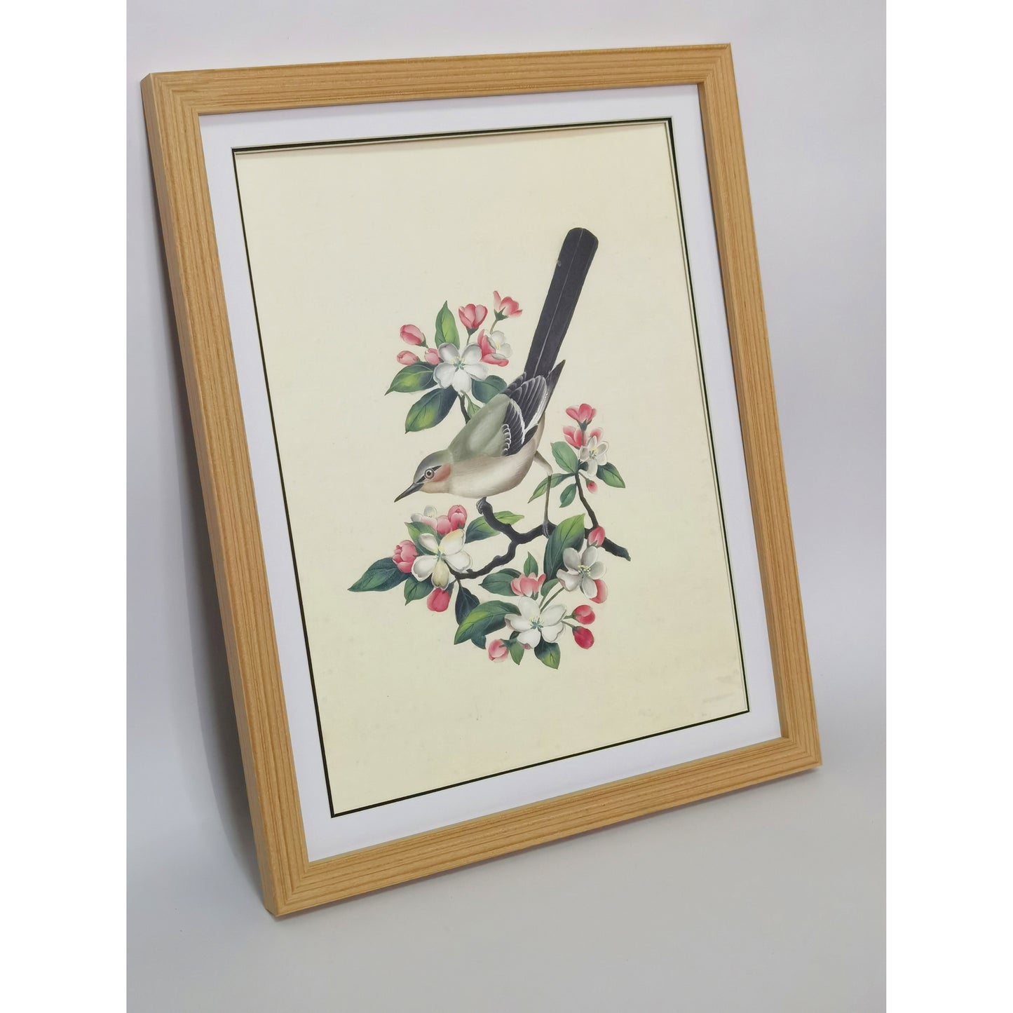 Arkansas Eastern Bluebird Hand-painted Art Print - Premium MATT Paper, Natural Wood Frame, Wall & Tabletop Décor, Multiple Sizes & Colors