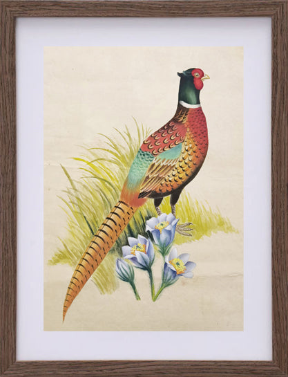 Ring-necked pheasant State Bird Handmade Art Printing South Dakota Pasque with Wood Frame