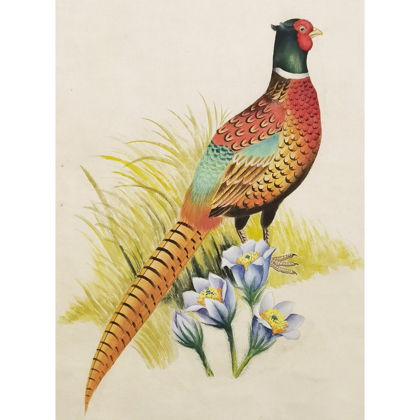 South Dakota Ring-necked Pheasant Hand-painted Art Print - Premium MATT Paper, Natural Wood Frame, Wall & Tabletop Décor, Multiple Sizes & Colors for Home, Office & Gifts