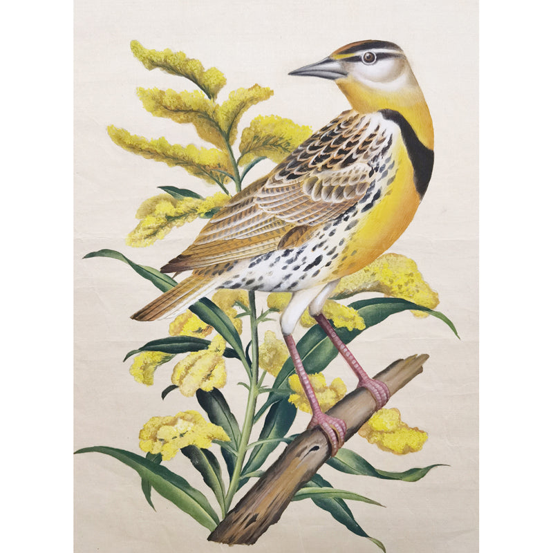 Nebraska Western Meadowlark Hand-painted Art Print - Premium MATT Paper, Natural Wood Frame, Wall & Tabletop Décor, Multiple Sizes & Colors