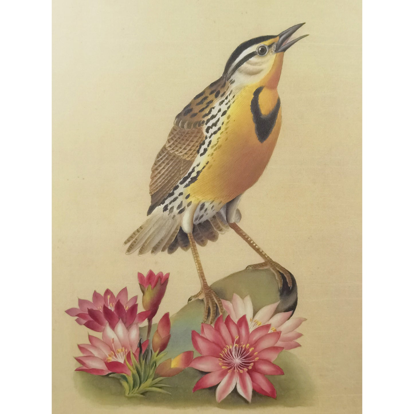 Western Meadowlark Art Print - Hand-Drawn & Digitally Printed on Premium Matte Paper, Natural Wood Frame, Multiple Sizes & Colors, Dual Display for Home & Office