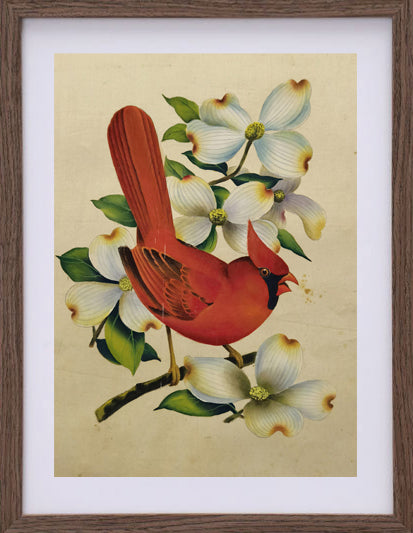 Cardinal State Bird Handmade Art Printing Virginia Dogwood with Wood Frame