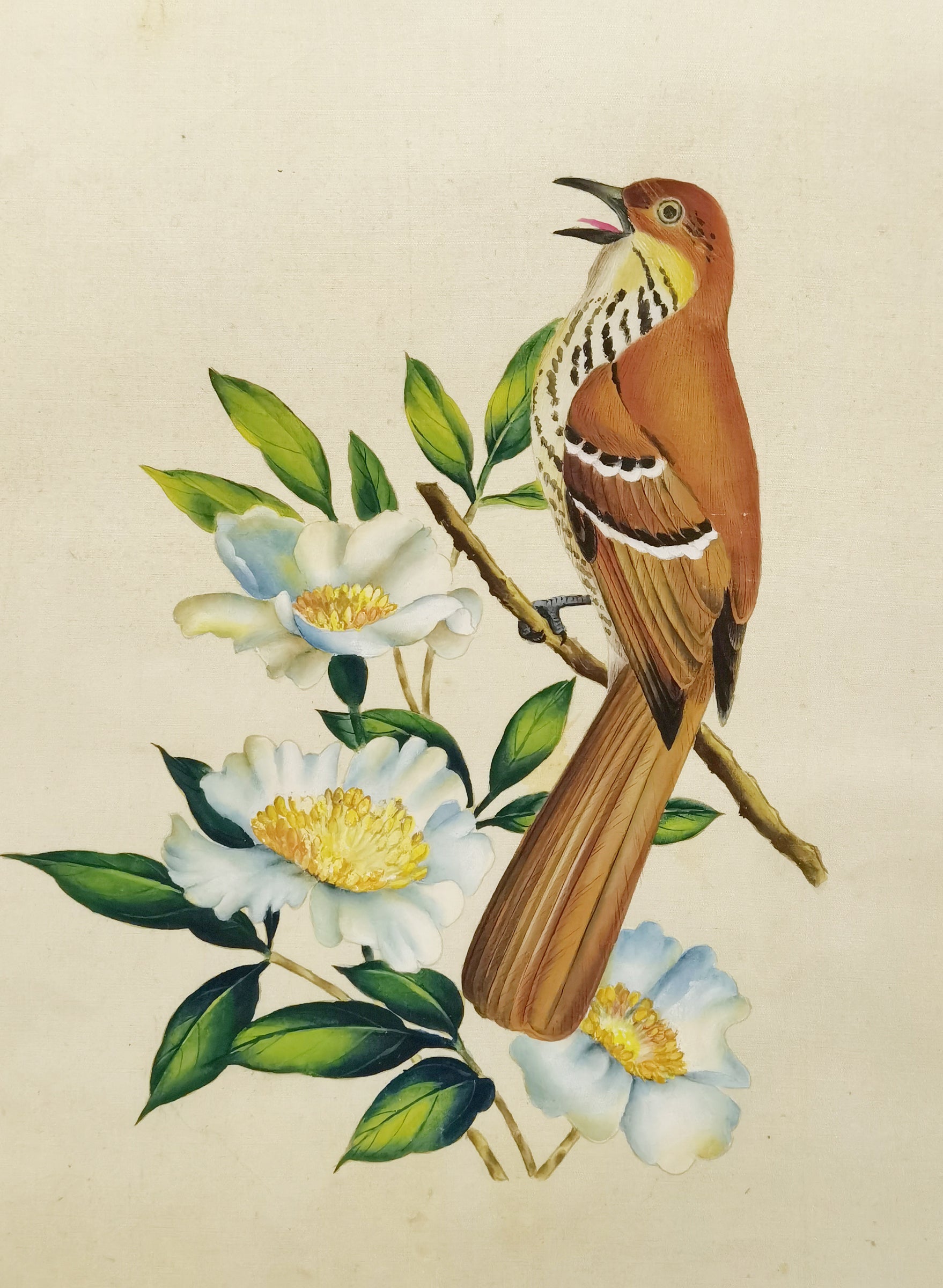 Brown Thrasher State Bird Handmade Art Printing Georgia Cherokee Rose with Wood Frame