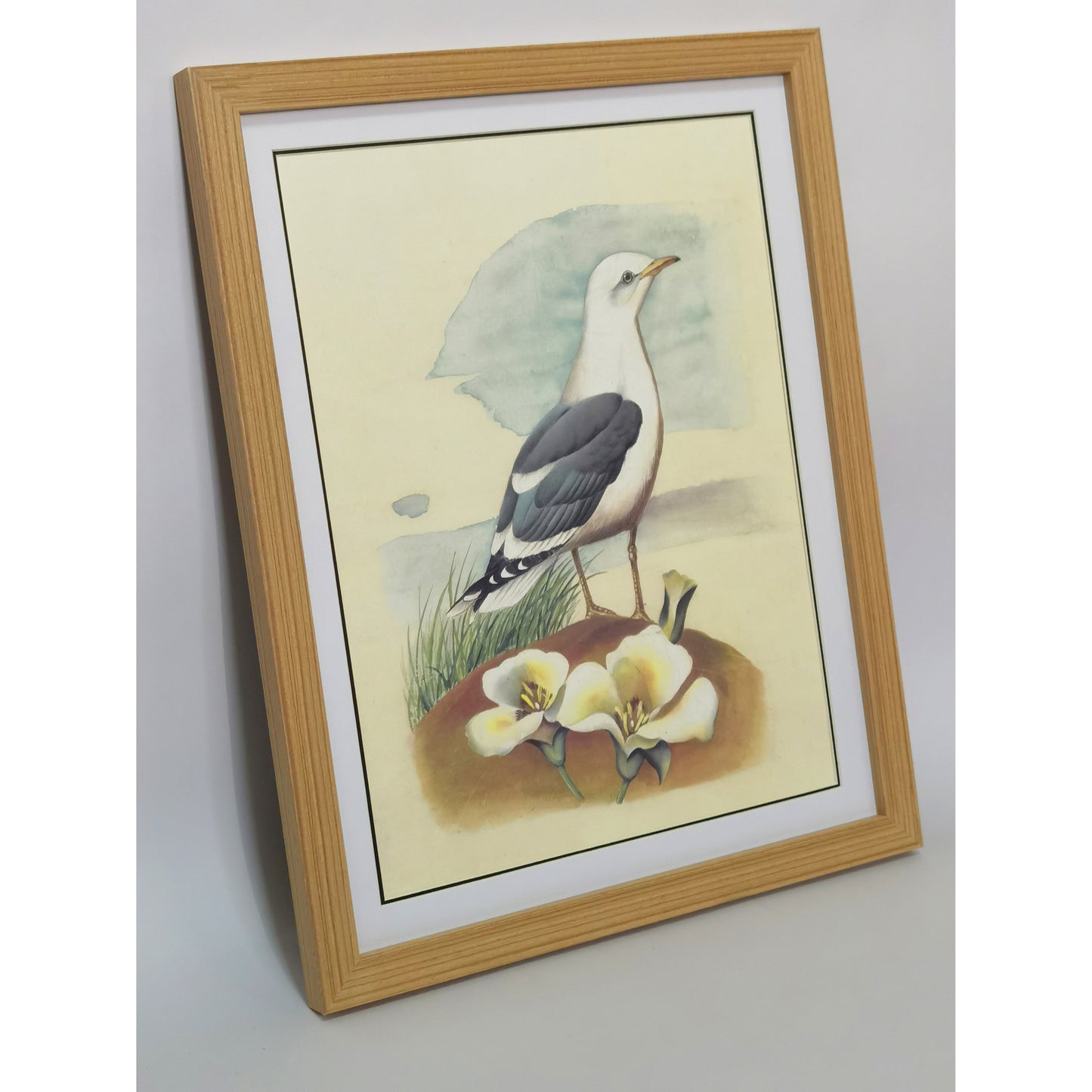 Utah California Gull Hand-painted Art Print - Premium MATT Paper, Natural Wood Frame, Wall & Tabletop Décor, Multiple Sizes & Colors