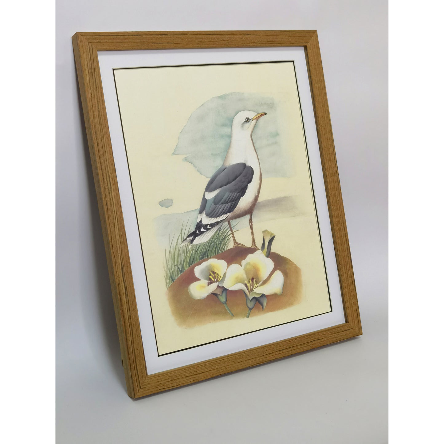 Utah California Gull Hand-painted Art Print - Premium MATT Paper, Natural Wood Frame, Wall & Tabletop Décor, Multiple Sizes & Colors