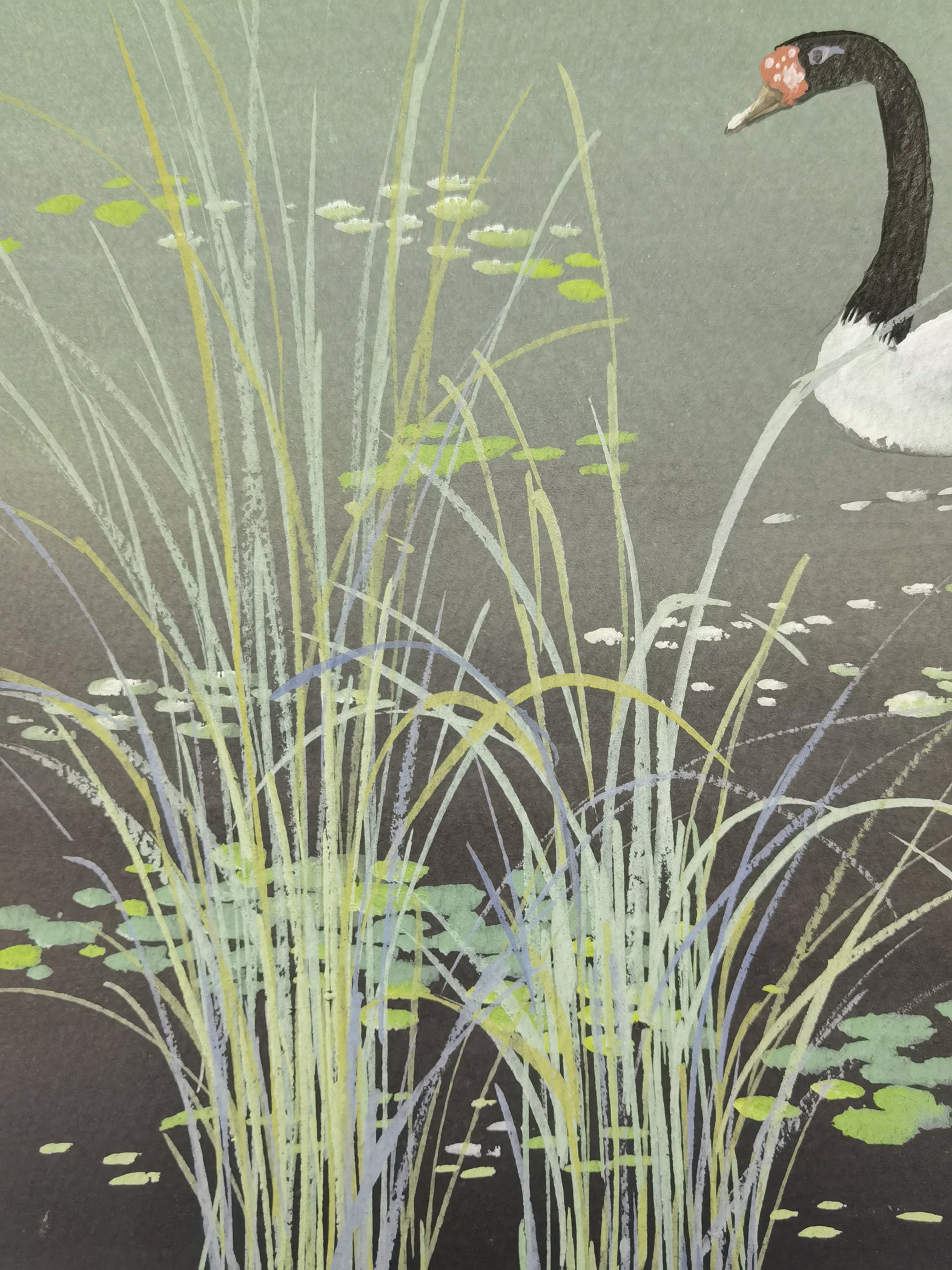 Black-necked Swan Vividland Handmade Art Printing Reed Duckweed Pond with Wood Frame