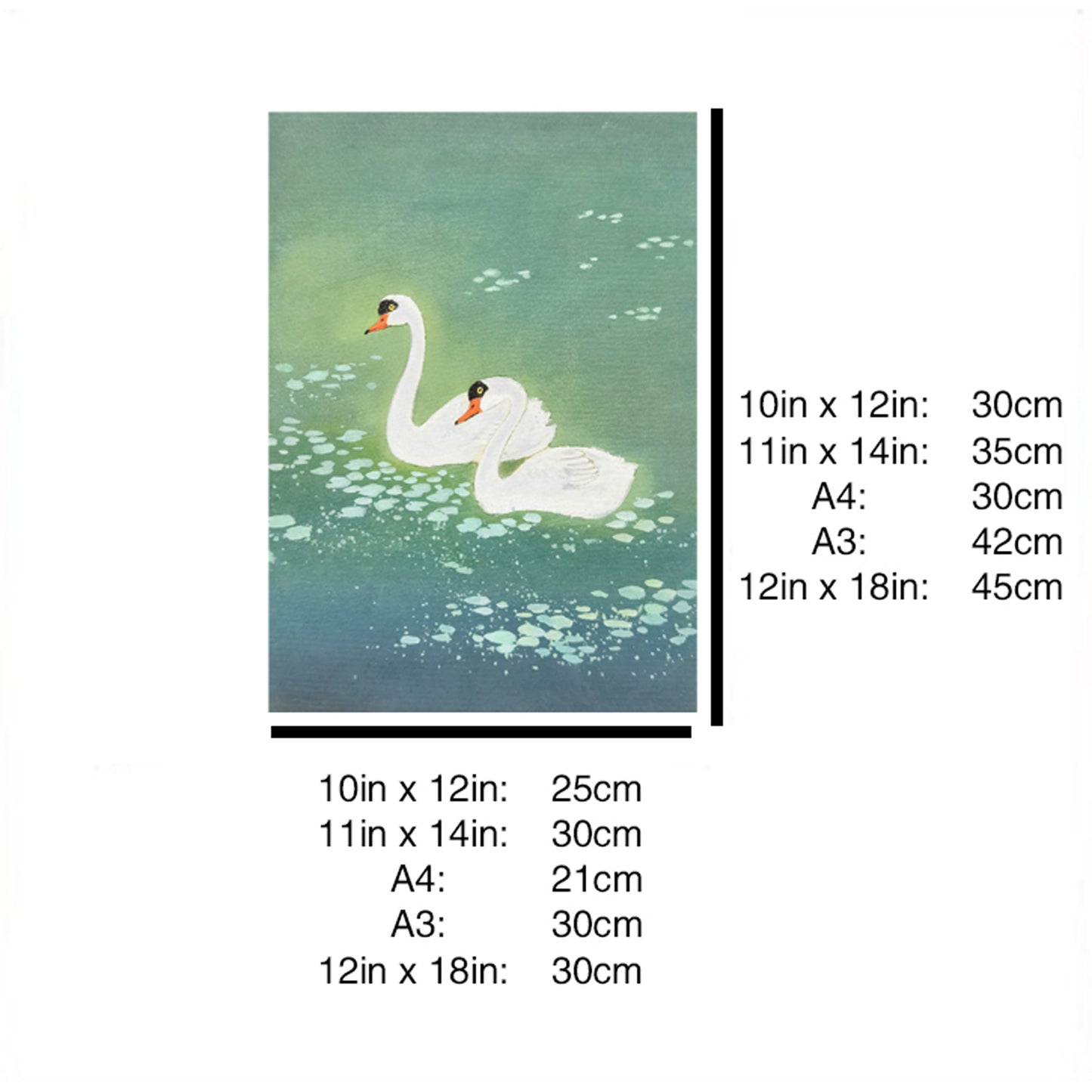 Hand-painted Pair of Swans on Blue Pond Artwork – Watercolor Technique, Premium MATT Paper, Natural Wood Frame, Multiple Sizes & Colors