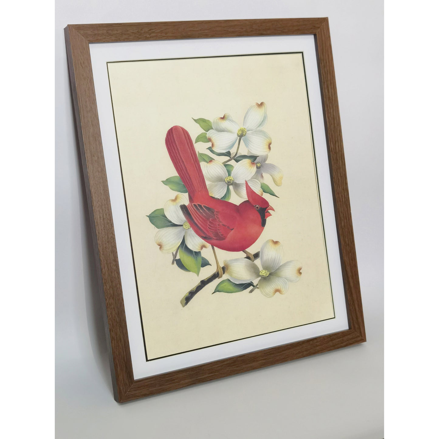 Virginia Northern Cardinal Hand-painted Art Print - Premium MATT Paper, Natural Wood Frame, Wall & Tabletop Décor, Multiple Sizes & Colors