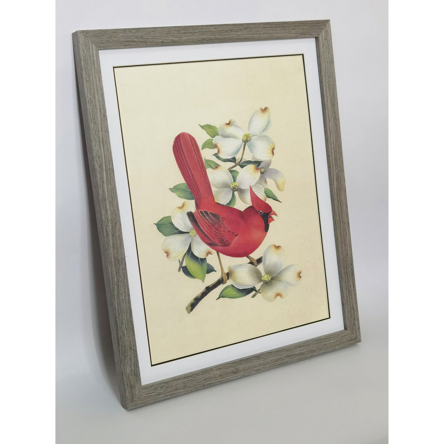 Virginia Northern Cardinal Hand-painted Art Print - Premium MATT Paper, Natural Wood Frame, Wall & Tabletop Décor, Multiple Sizes & Colors