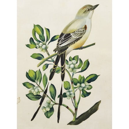 Oklahoma Scissor-tailed Flycatcher Hand-painted Art Print - Premium MATT Paper, Natural Wood Frame, Wall & Tabletop Décor, Multiple Sizes & Colors