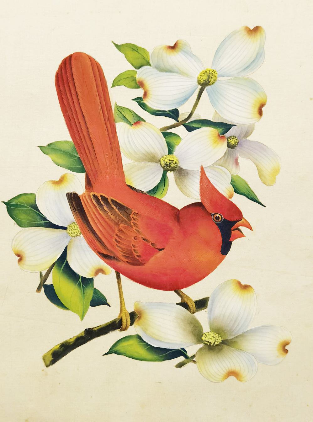 Virginia Northern Cardinal Hand-painted Art Print - Premium MATT Paper, Natural Wood Frame, Wall & Tabletop Décor, Multiple Sizes & Colors