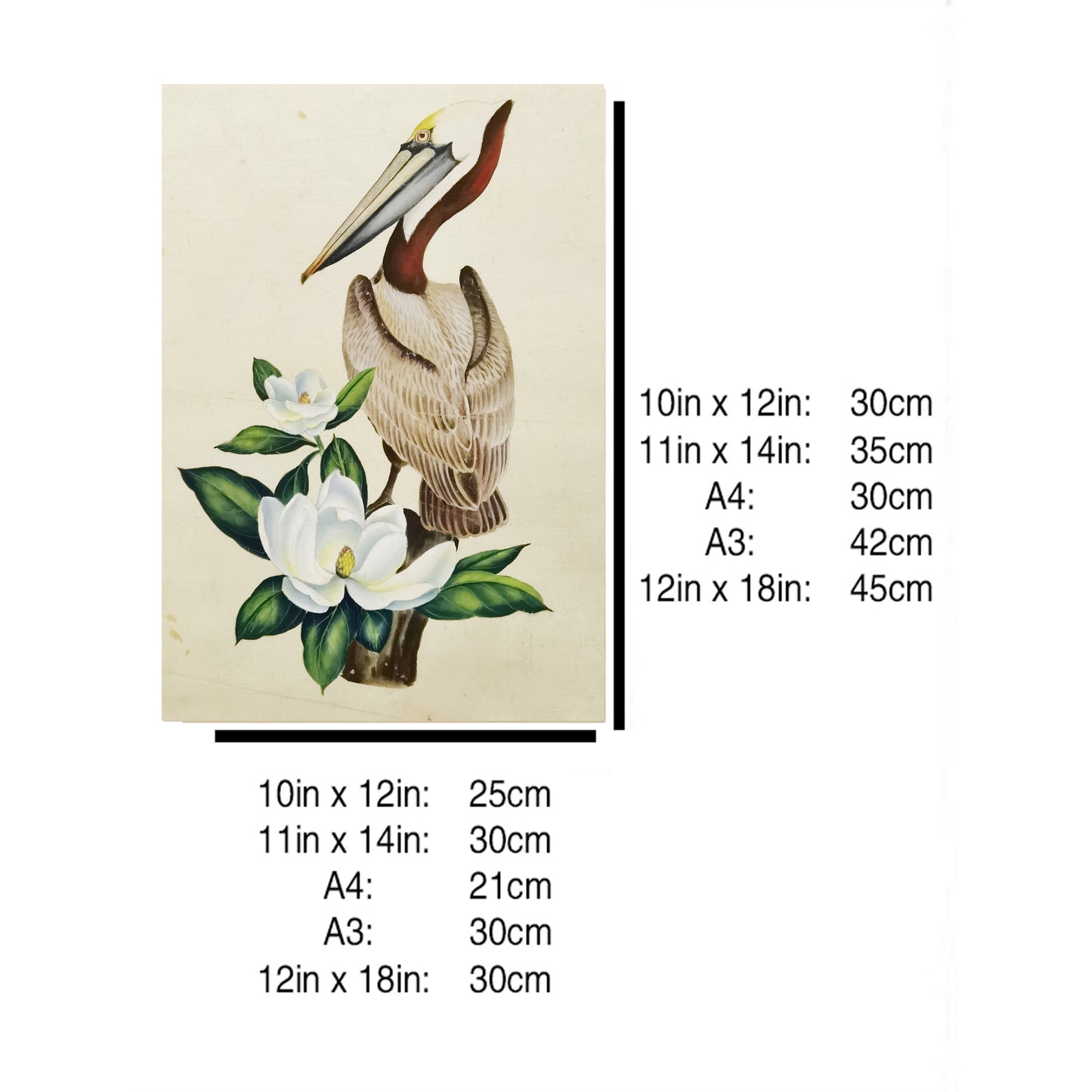 Louisiana Brown Pelican Hand-painted Art Print - Premium MATT Paper, Natural Wood Frame, Wall & Tabletop Décor, Multiple Sizes & Colors
