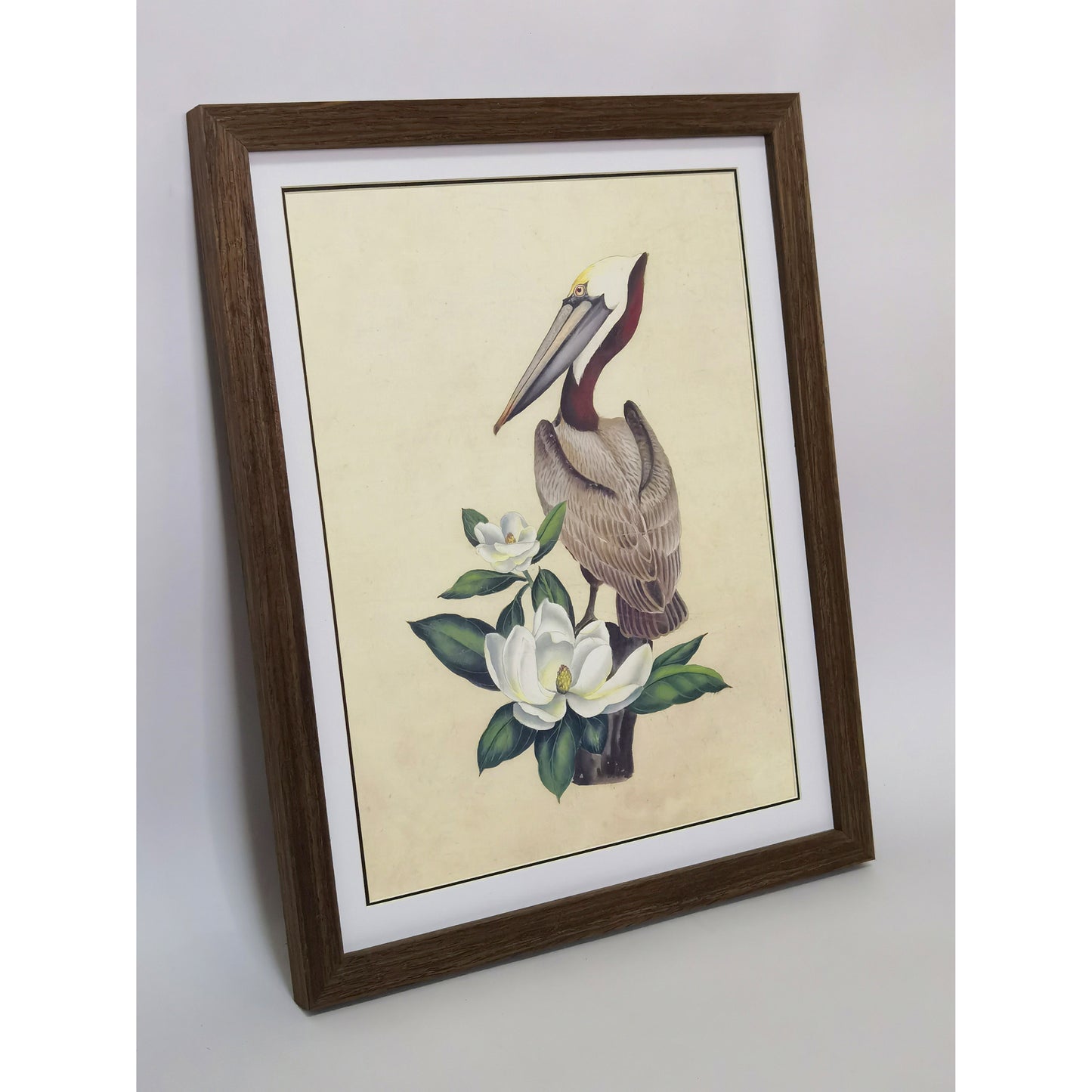 Louisiana Brown Pelican Hand-painted Art Print - Premium MATT Paper, Natural Wood Frame, Wall & Tabletop Décor, Multiple Sizes & Colors