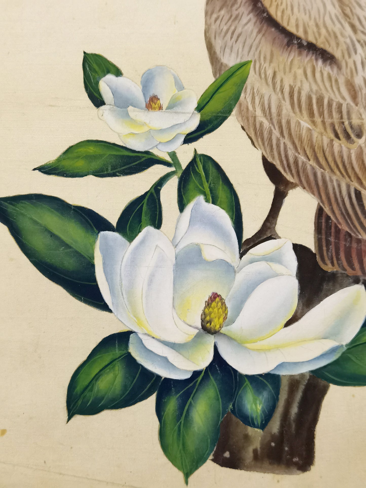 Eastern Brown Pelican State Bird Handmade Art Printing Louisiana Magnolia with Wood Frame