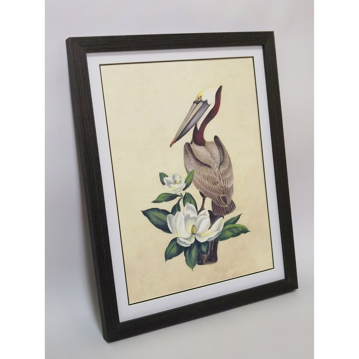 Louisiana Brown Pelican Hand-painted Art Print - Premium MATT Paper, Natural Wood Frame, Wall & Tabletop Décor, Multiple Sizes & Colors