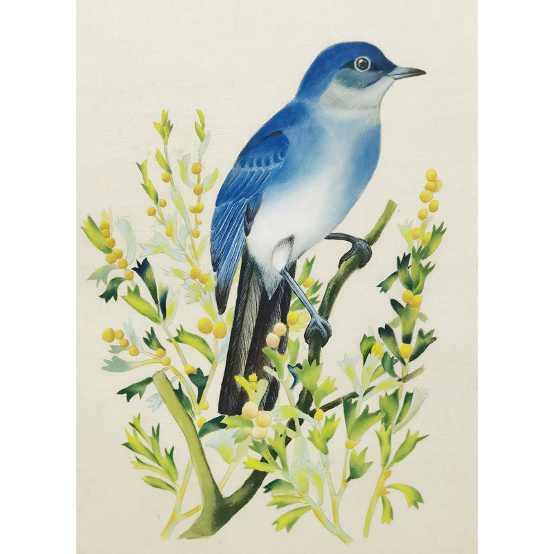Nevada Mountain Bluebird Hand-painted Art Print - Premium MATT Paper, Natural Wood Frame, Wall & Tabletop Décor, Multiple Sizes & Colors