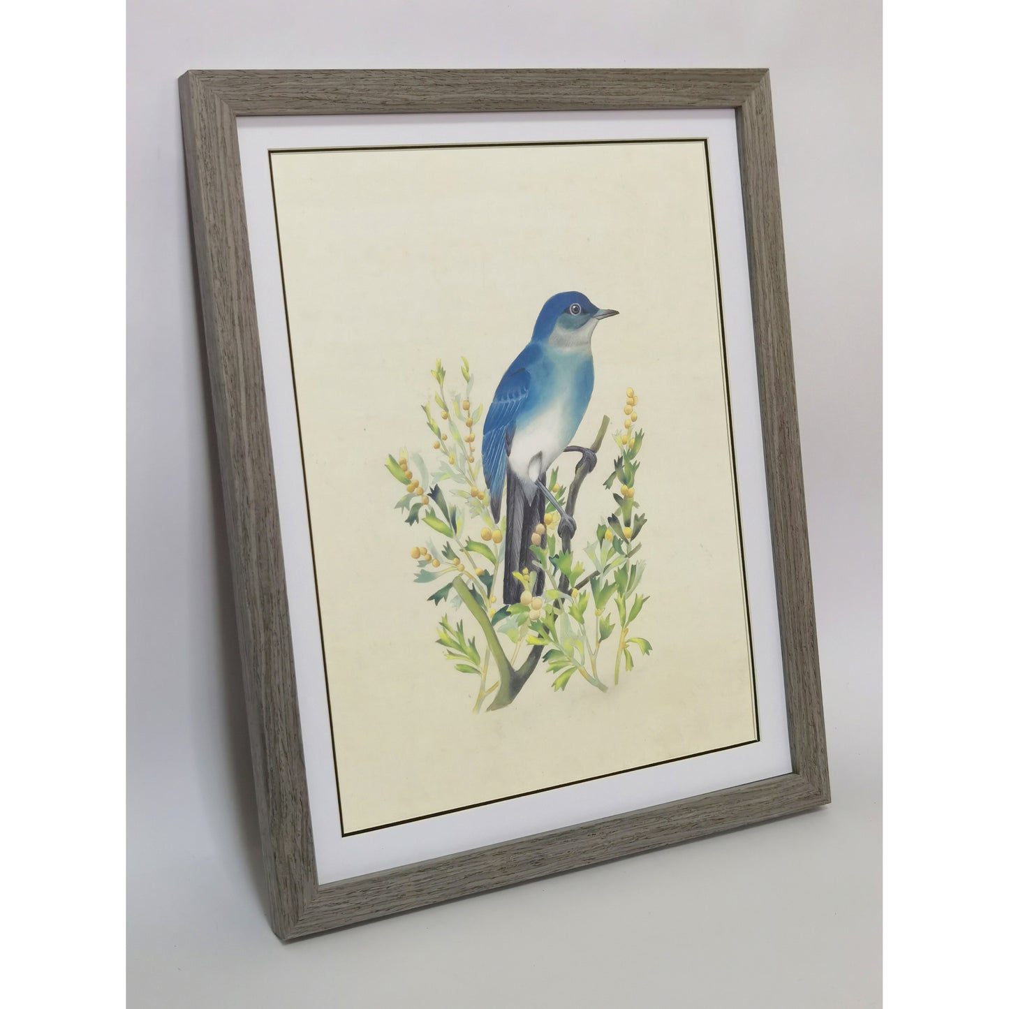 Nevada Mountain Bluebird Hand-painted Art Print - Premium MATT Paper, Natural Wood Frame, Wall & Tabletop Décor, Multiple Sizes & Colors
