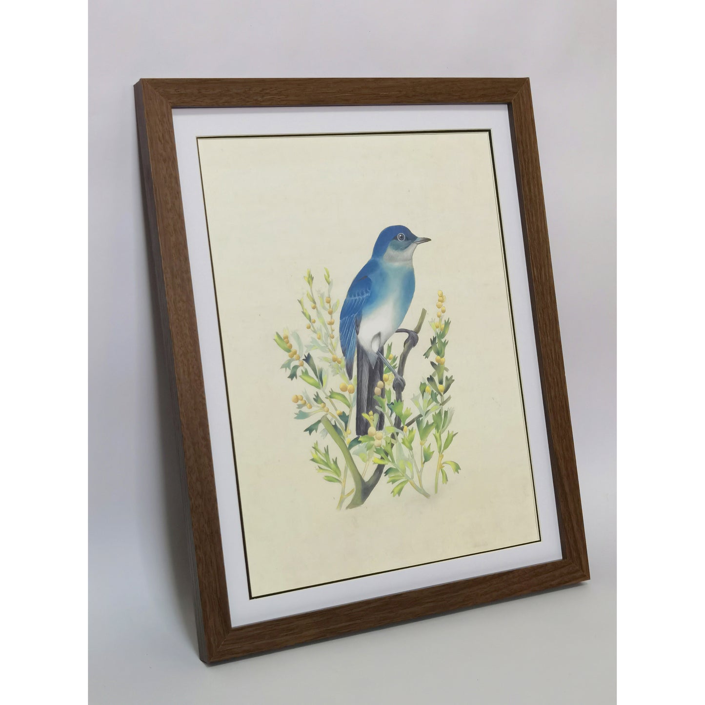Nevada Mountain Bluebird Hand-painted Art Print - Premium MATT Paper, Natural Wood Frame, Wall & Tabletop Décor, Multiple Sizes & Colors