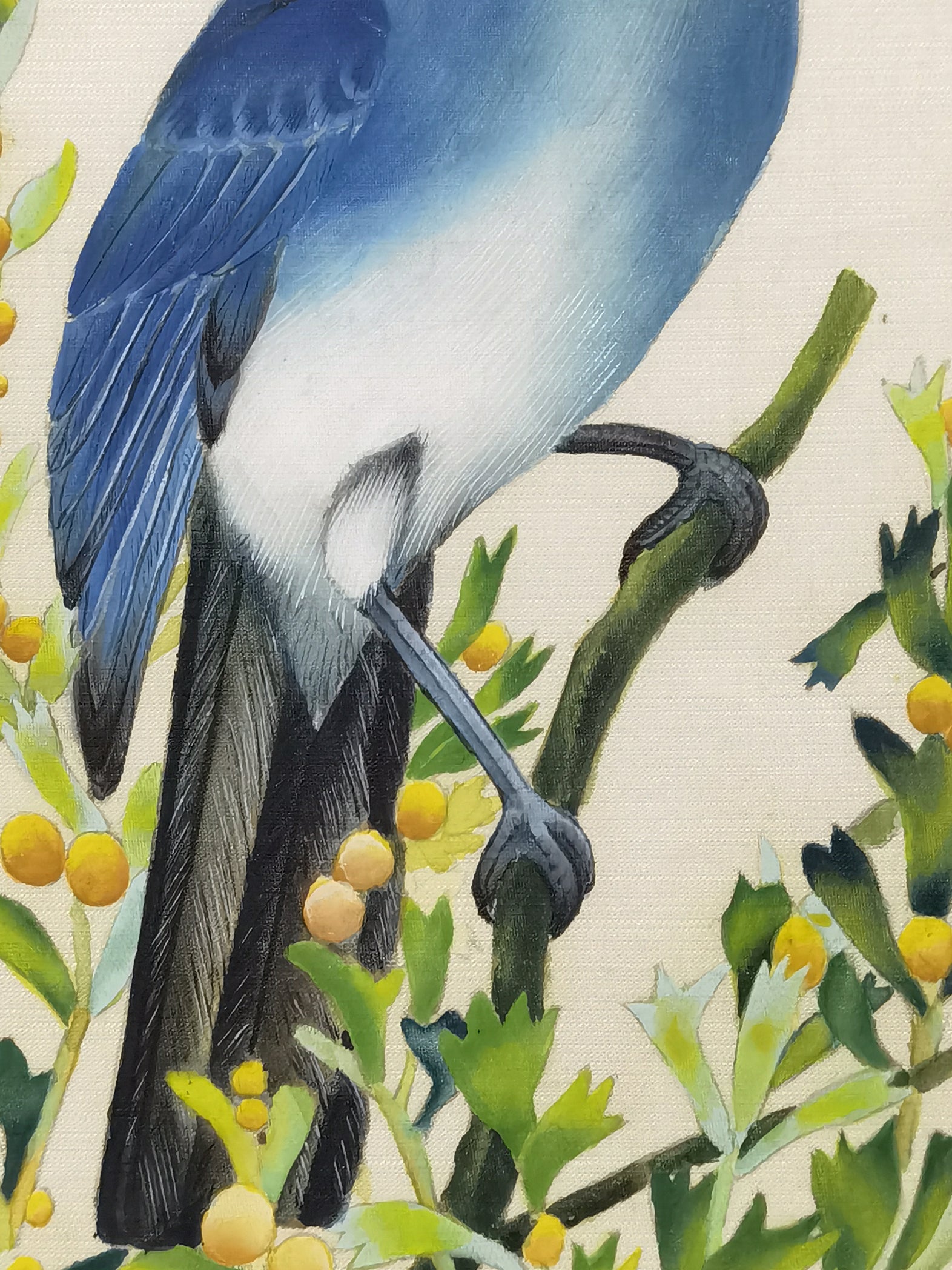 Mountain BlueBird State Bird Handmade Art Printing Nevada Sagebrush with Wood Frame