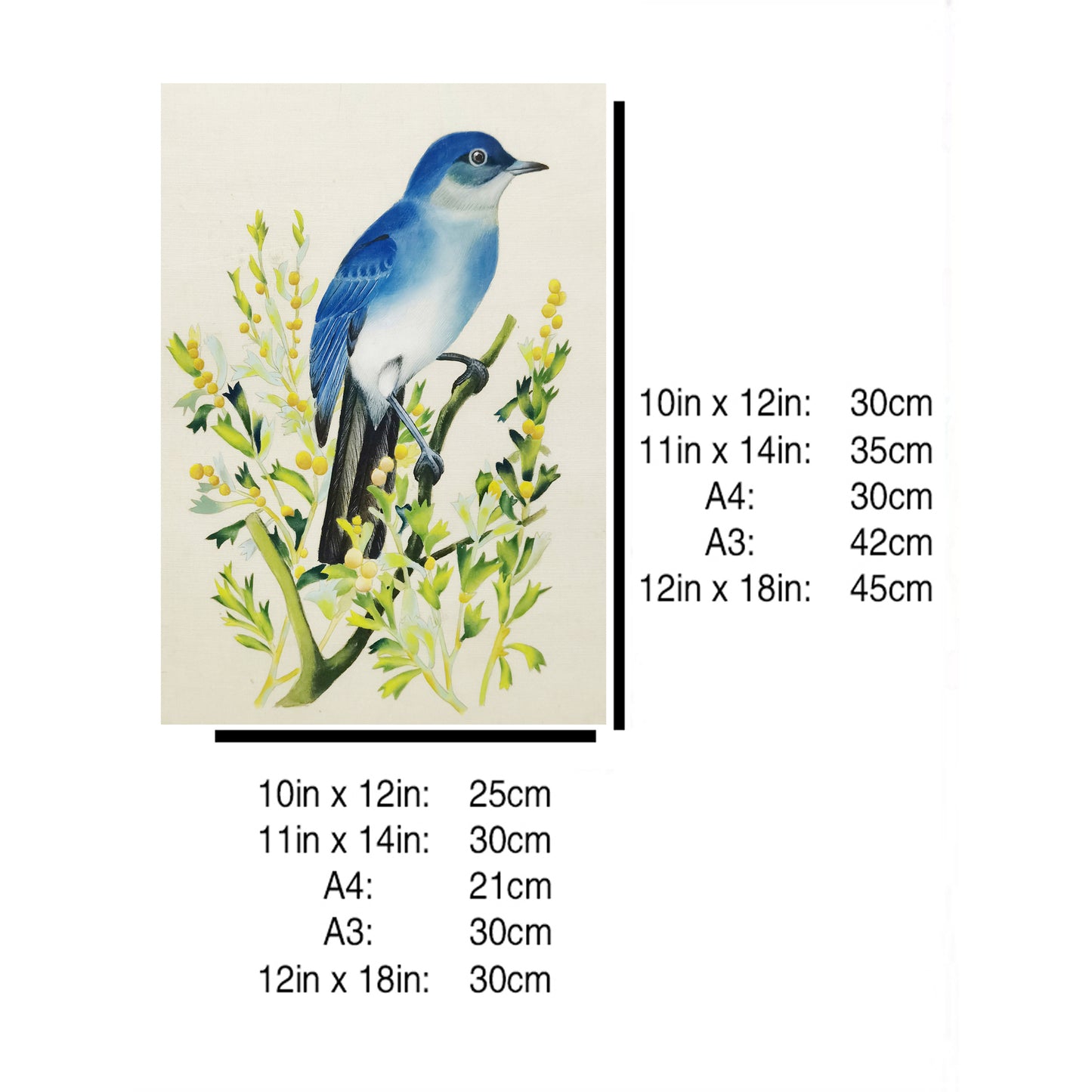 Nevada Mountain Bluebird Hand-painted Art Print - Premium MATT Paper, Natural Wood Frame, Wall & Tabletop Décor, Multiple Sizes & Colors
