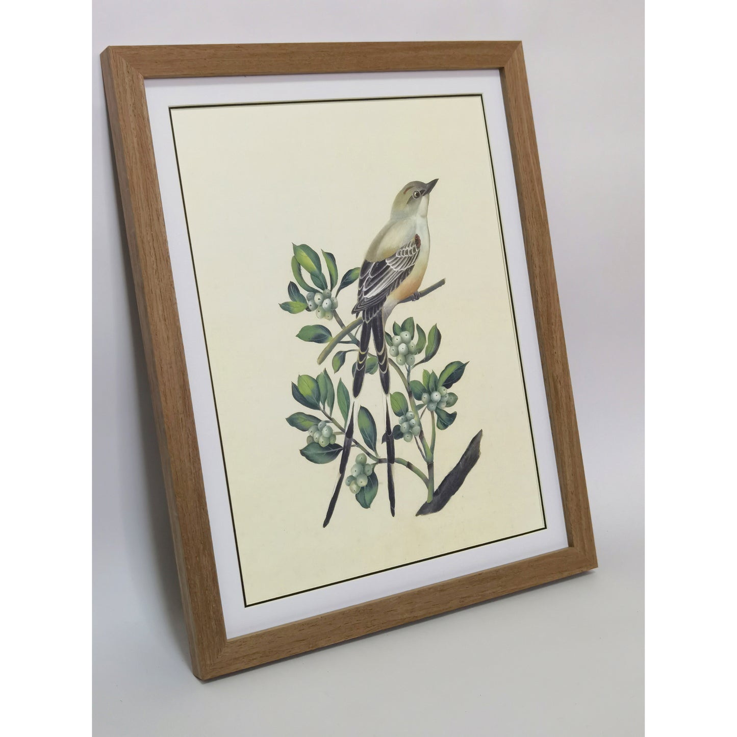 Oklahoma Scissor-tailed Flycatcher Hand-painted Art Print - Premium MATT Paper, Natural Wood Frame, Wall & Tabletop Décor, Multiple Sizes & Colors