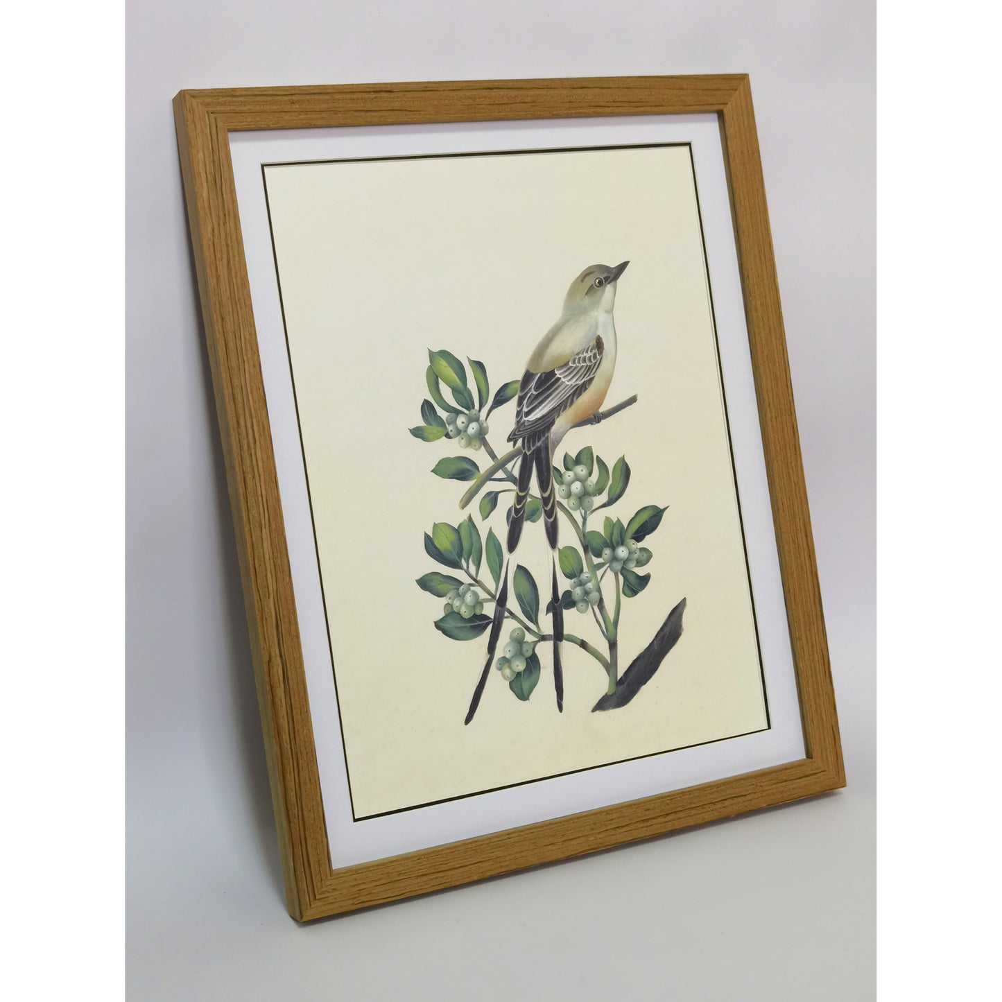 Oklahoma Scissor-tailed Flycatcher Hand-painted Art Print - Premium MATT Paper, Natural Wood Frame, Wall & Tabletop Décor, Multiple Sizes & Colors