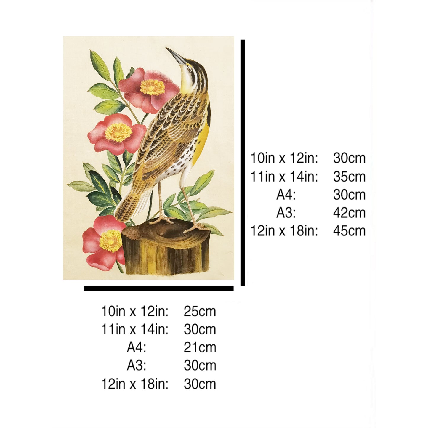 North Dakota Western Meadowlark Hand-painted Art Print - Premium MATT Paper, Natural Wood Frame, Multiple Sizes & Colors, Wall & Tabletop Décor