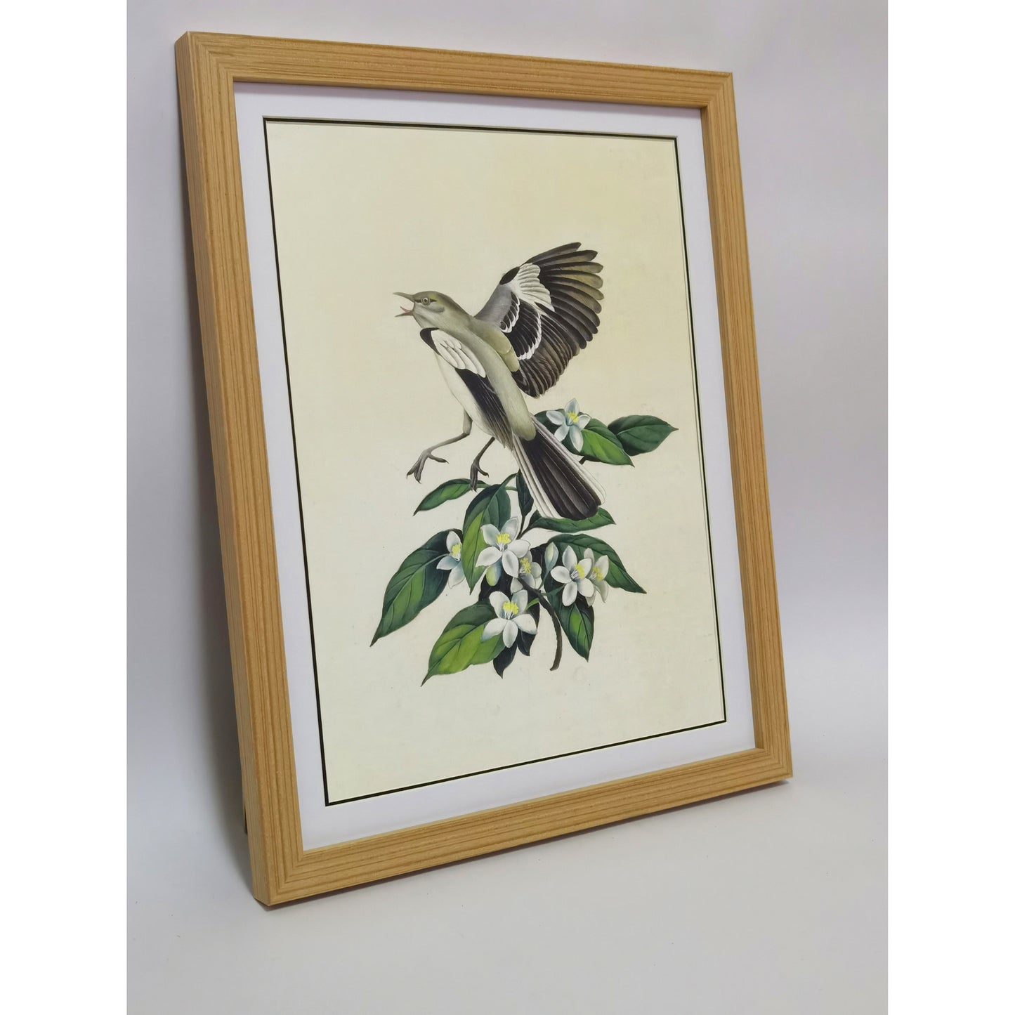 Florida Northern Mockingbird Hand-painted Art Print - Premium MATT Paper, Natural Wood Frame, Wall & Tabletop Décor, Multiple Sizes & Colors