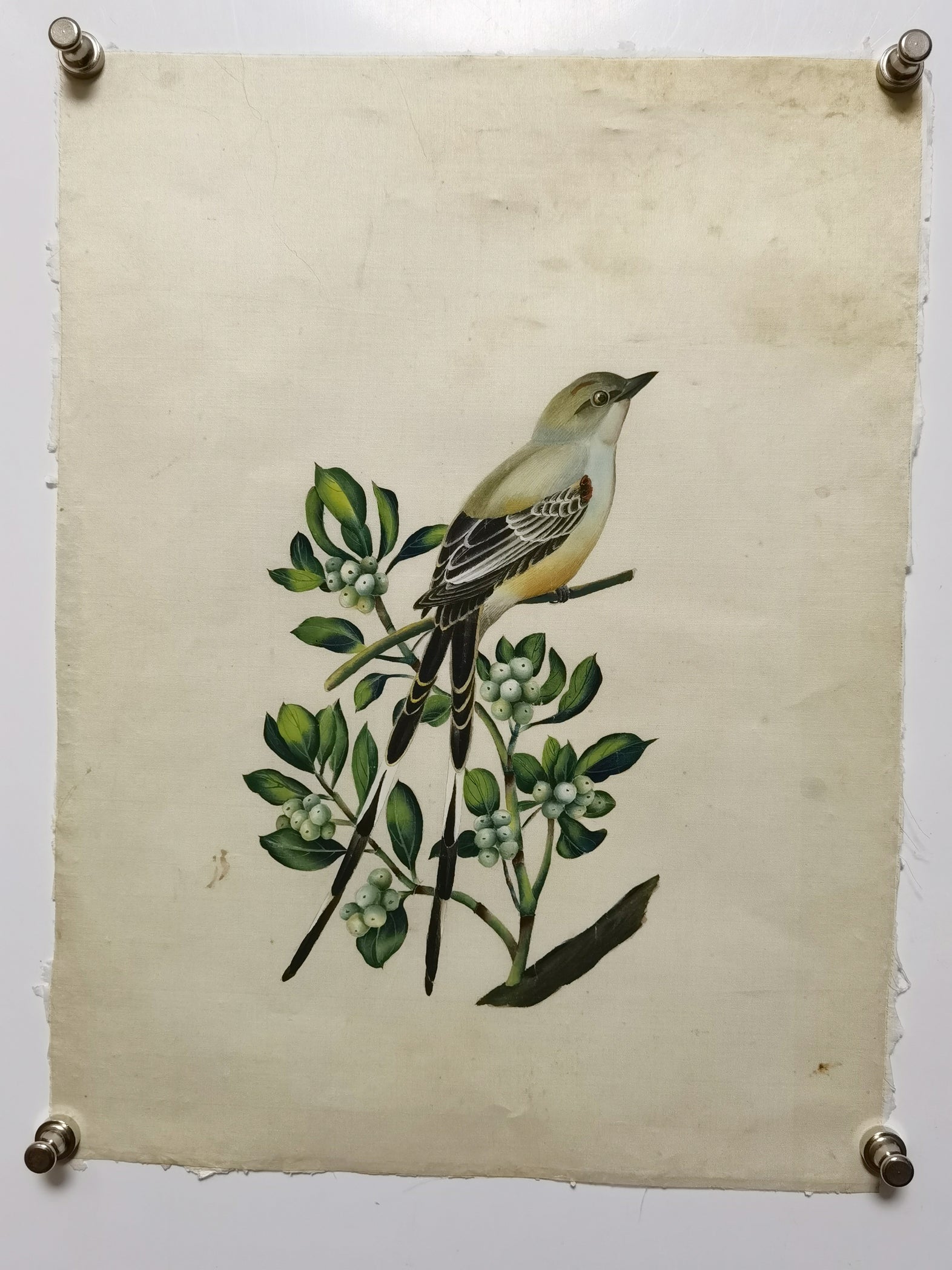 Scissor-tailed Flycatcher State Bird Handmade Art Printing Oklahoma Mistletoe Oklahoma Rose with Wood Frame