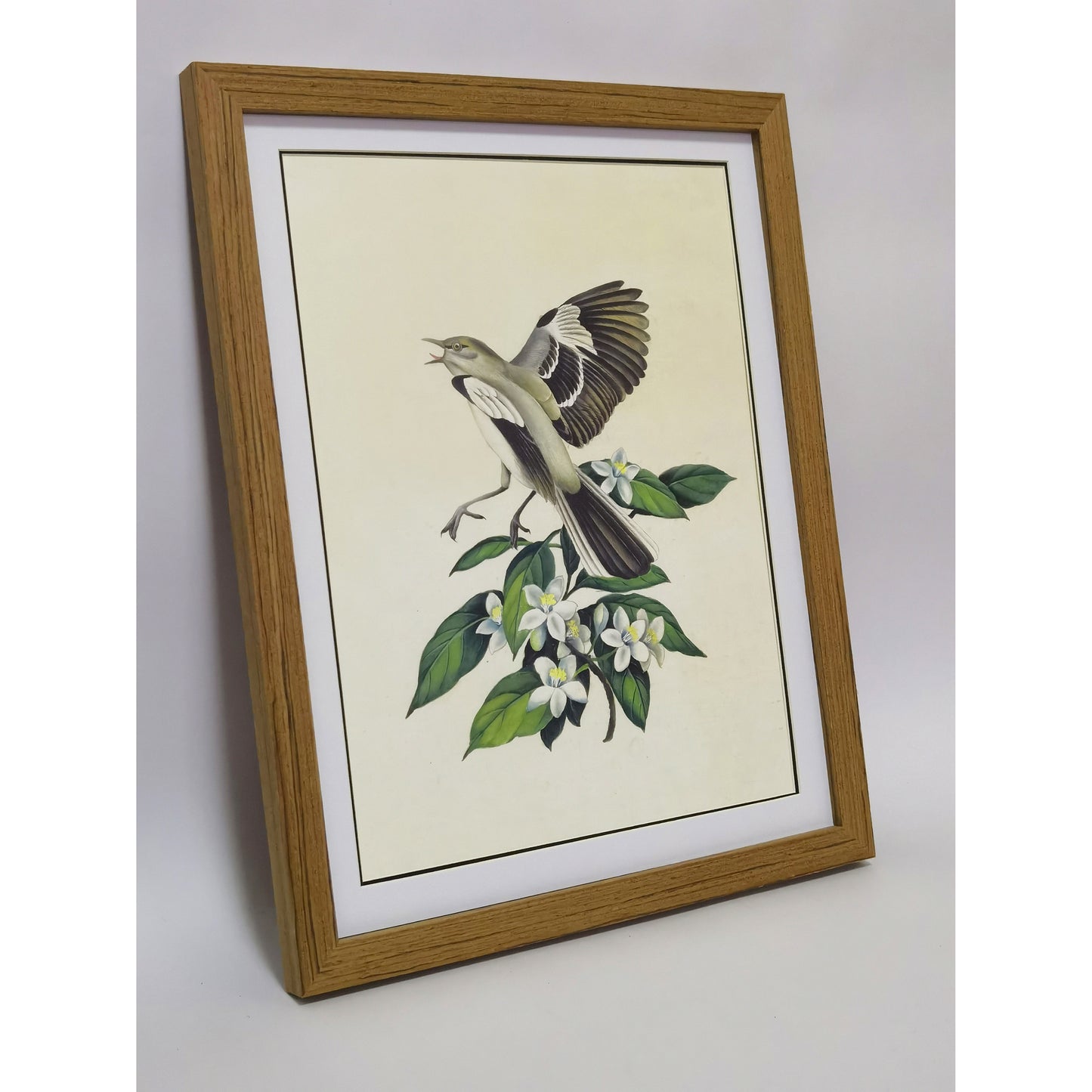 Florida Northern Mockingbird Hand-painted Art Print - Premium MATT Paper, Natural Wood Frame, Wall & Tabletop Décor, Multiple Sizes & Colors