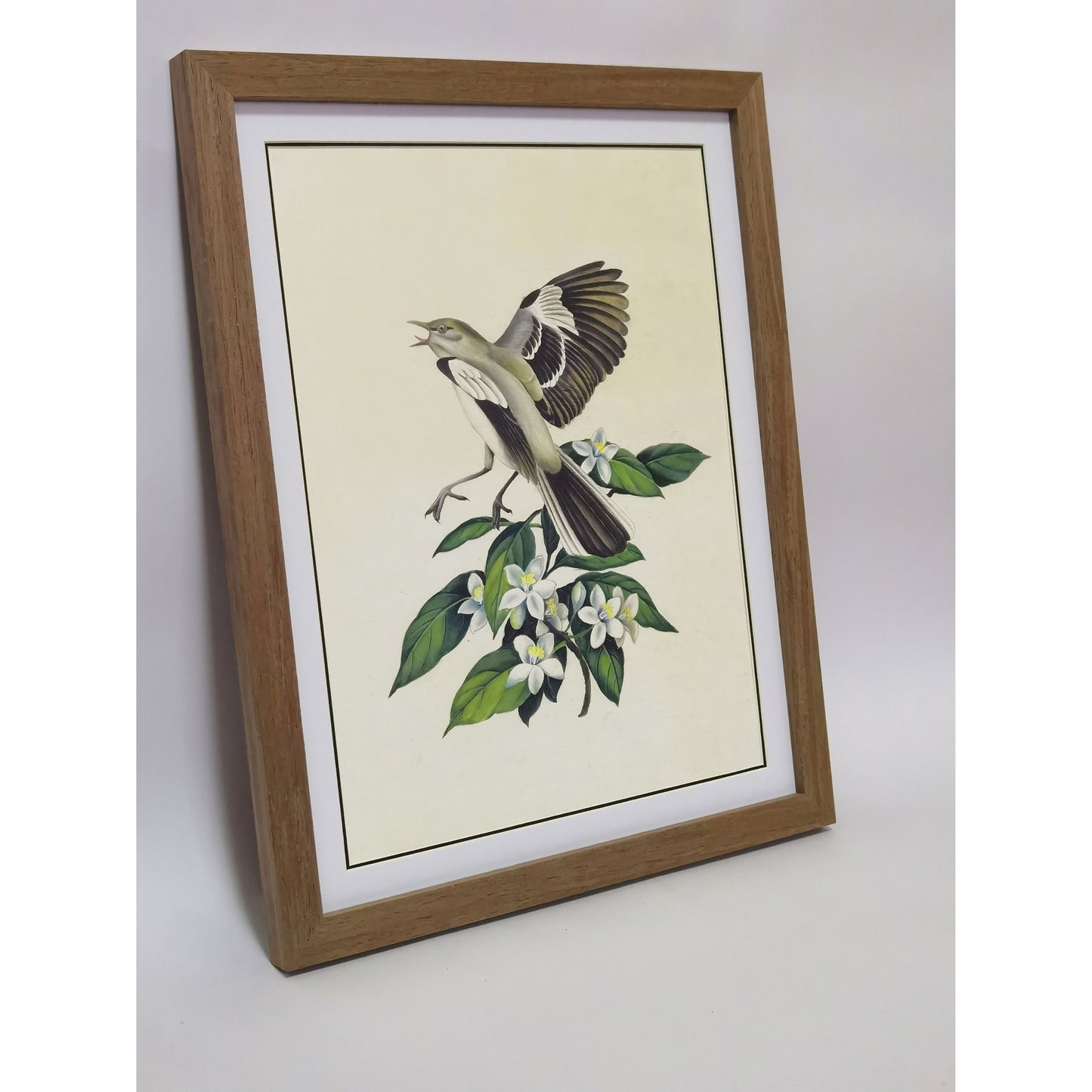 Florida Northern Mockingbird Hand-painted Art Print - Premium MATT Paper, Natural Wood Frame, Wall & Tabletop Décor, Multiple Sizes & Colors