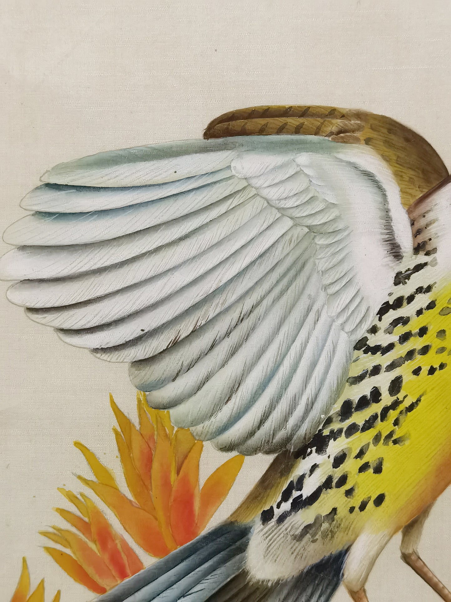 Western Meadowlark State Bird Handmade Art Printing Wyoming Indian Paintbrush with Wood Frame